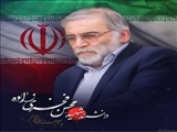 پیام تسلیت دانشگاه شهید مدنی آذربایجان بمناسبت شهادت مظلومانه استاد دکتر محسن فخری زاده